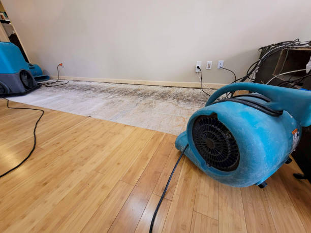 Professional Water Damage Repair technician working in Spring Park, MN